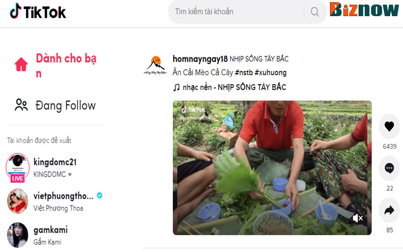 Thuật toán TikTok For You Page (FYP) là gì? Làm sao để được lọt vào danh sách "For You Page" | Biznow.vn