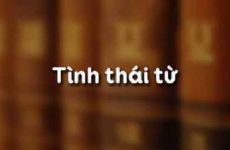 sau tính từ là gì