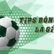tips là gì