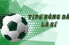 tips là gì