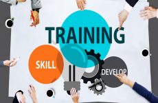 training là gì