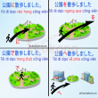 trợ từ là gì