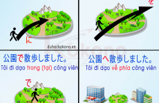 trợ từ là gì