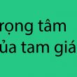 trọng tâm là gì