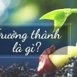 trưởng thành là gì