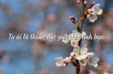 tự ái là gì