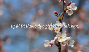 tự ái là gì