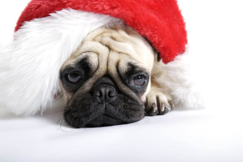 Mood là gì? Tụt mood là gì? Vì sao từ mood được giới trẻ dùng nhiều?
