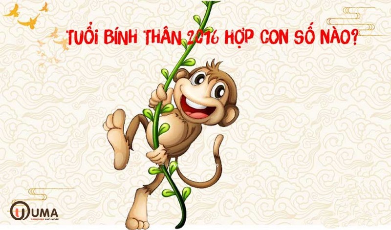 2016 Mệnh Gì, Tuổi Gì, Hợp Màu Gì, Hợp Tuổi Nào, Hướng Nào? | Nội Thất UMA