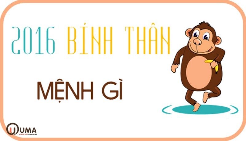 2016 Mệnh Gì, Tuổi Gì, Hợp Màu Gì, Hợp Tuổi Nào, Hướng Nào? | Nội Thất UMA