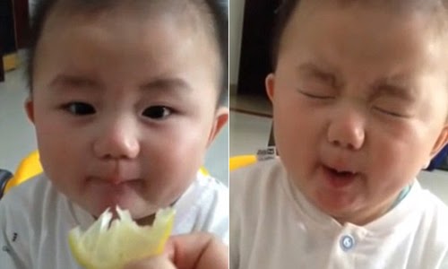 Xúc giác là gì? Tổng quan về 5 giác quan của con người