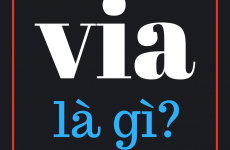via là gì
