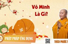 thuyết minh là gì