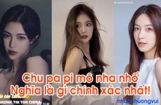 chu pa pi nha nhố nghĩa là gì