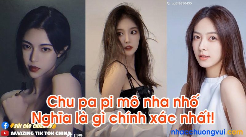 chu pa pi nha nhố nghĩa là gì