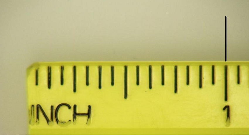 [Quy đổi] 1 inch bằng bao nhiêu cm, mm, m? 3 cách đơn giản nhất