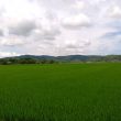 bài văn tả cảnh biển lớp 5