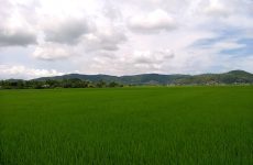 bài văn tả cảnh biển lớp 5