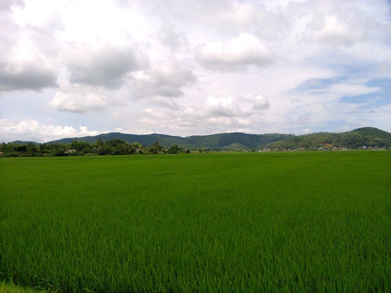 bài văn tả cảnh biển lớp 5