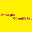 rsm là gì