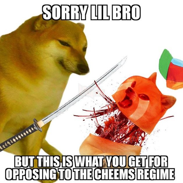 Meme Cheems là gì – Ênm đệnp léăm là gì – 1 tượng đài mới kế thừa Doge và ai cũng thấy thú vị – Gêm VN – Gêm.vn Trang thông tin về game