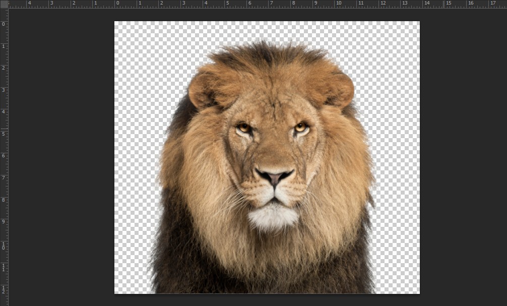 02 bước làm mờ hậu cảnh bằng Photoshop cs6
