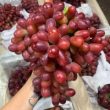 kiến nghị là gì
