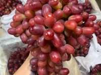 kiến nghị là gì