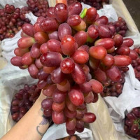 kiến nghị là gì