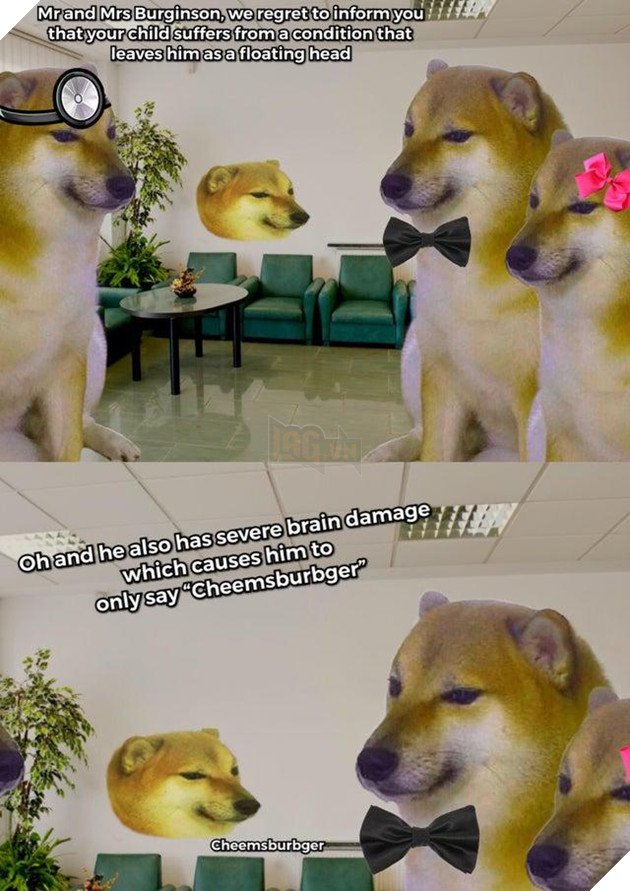 Meme Cheems là gì – Ênm đệnp léăm là gì – 1 tượng đài mới kế thừa Doge và ai cũng thấy thú vị – Gêm VN – Gêm.vn Trang thông tin về game