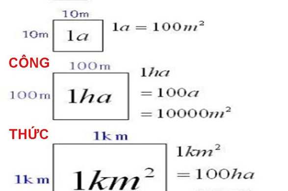 1ha bằng bao nhiêu m2 ? quy đổi 1ha = công, mẫu, km2