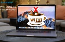 cách kết nối mạng dây cho laptop