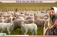 JW là gì