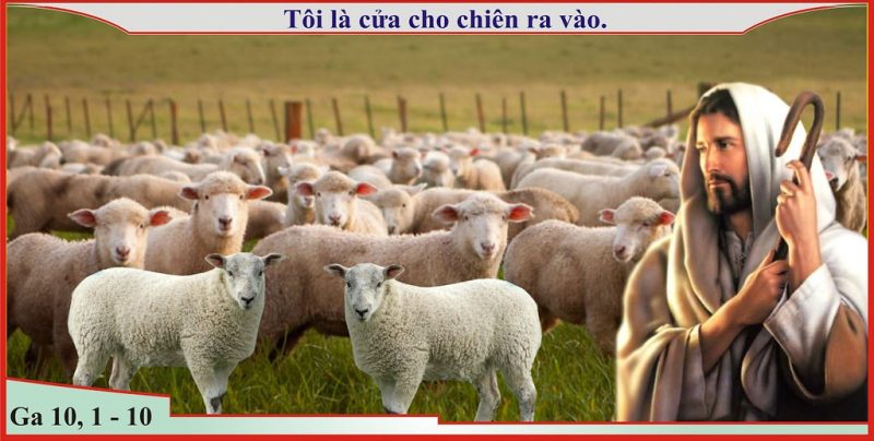 JW là gì