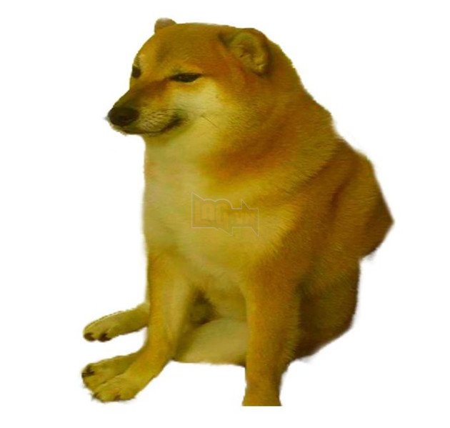 Template Meme Cheems là gì – Ênm đệnp léăm là gì – 1 tượng đài mới kế thừa Doge và ai cũng thấy thú vị – Gêm VN – Gêm.vn Trang thông tin về game
