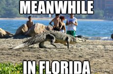 alabama meme