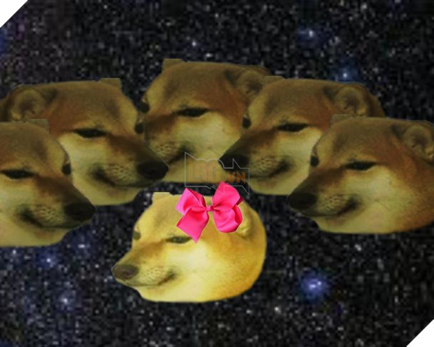 Cheemd Meme Cheems là gì – Ênm đệnp léăm là gì – 1 tượng đài mới kế thừa Doge và ai cũng thấy thú vị – Gêm VN – Gêm.vn Trang thông tin về game