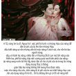 tiểu thuyết là gì