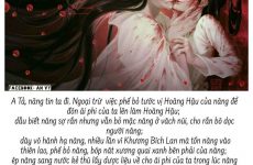 tiểu thuyết là gì