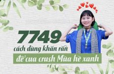 7749 là gì
