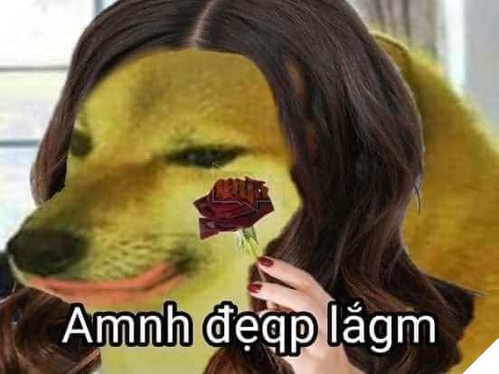 Meme Cheems là gì – Ênm đệnp léăm là gì – 1 tượng đài mới kế thừa Doge và ai cũng thấy thú vị – Gêm VN – Gêm.vn Trang thông tin về game