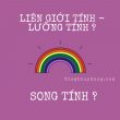 người lưỡng tính là gì