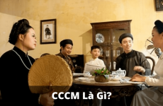 cccm là gì