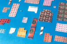 lsd là gì