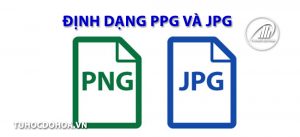 Xuất ảnh trong Photoshop – Lưu ảnh jpg, png, jpeg trong Ps