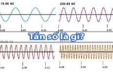 hz là gì