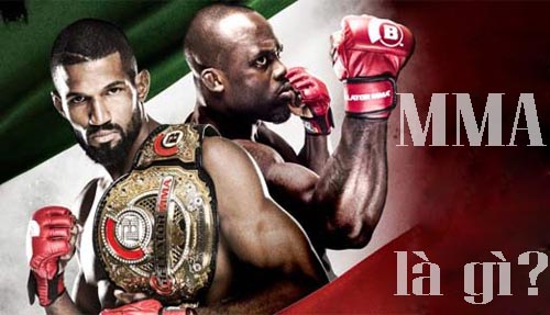 MMA là gì? UFC là gì? Những kiến thức về môn võ MMA | Bảo Châu Sport