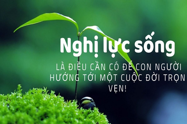 Ý nghĩa của nghị lực trong cuộc sống hiện nay