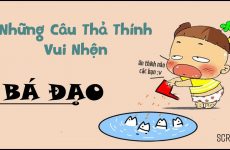 stt thả thính chồng