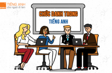 chief operating officer là gì